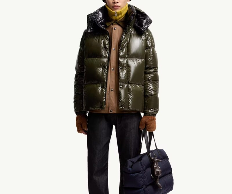 Replica Moncler Parana Short Down Jacket With Hood